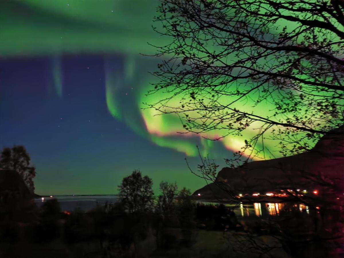 Rystad Midnight Sun And Nature Apartment Exterior foto